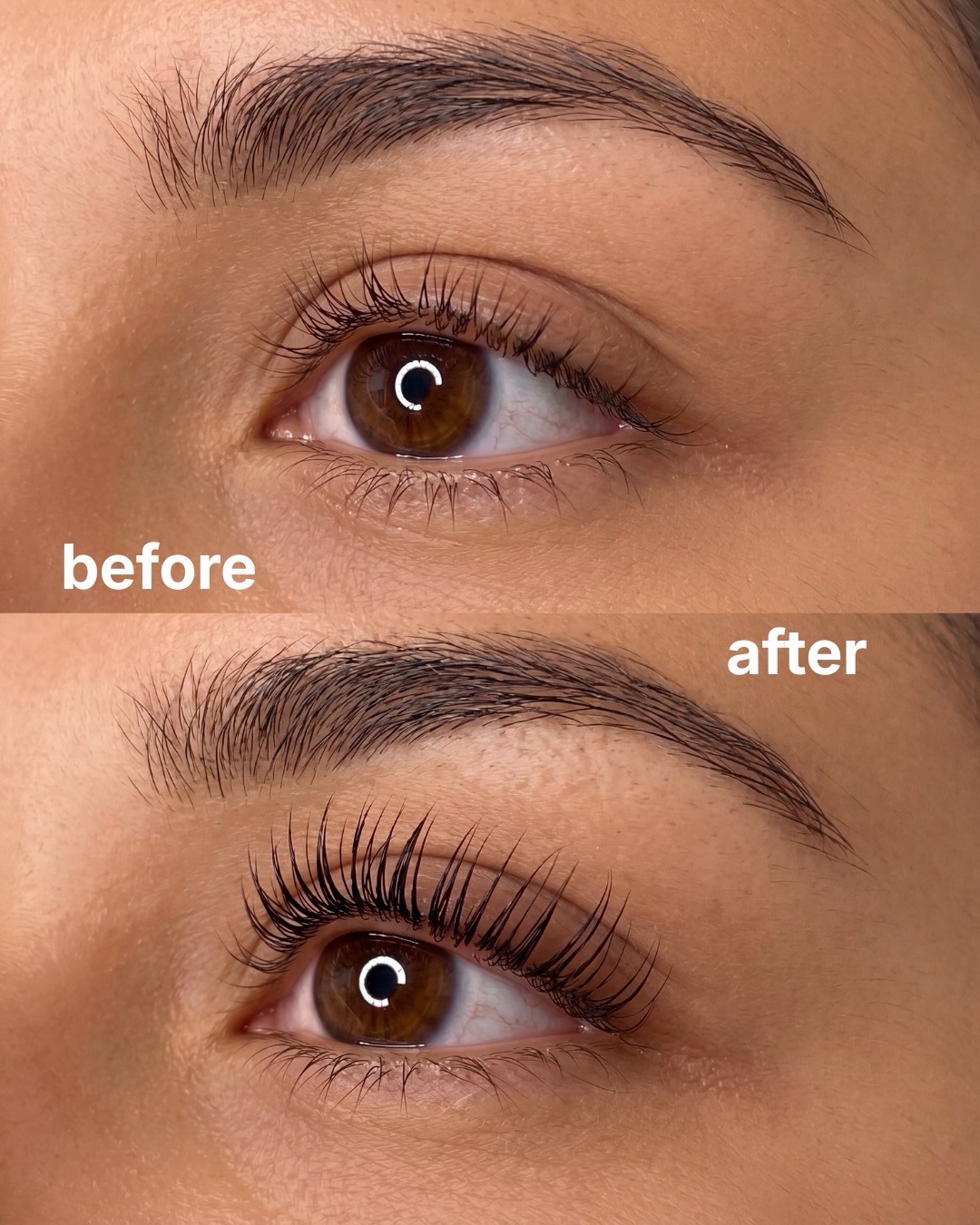 Lash lift & tint